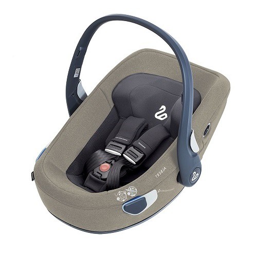 Car seat Swandoo Albert